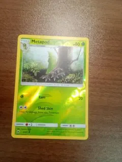 ポケモンカード　ポケカ　トランセル　リバースホロ　 英語版　正規品
