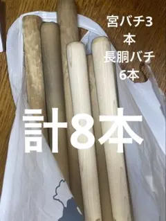 Item thumbnail for item 7bd4c36c-cbff-460f-89e5-847842cff06f