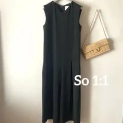 極美品/So 1:1 ソウワンバイワン 肉厚ジョーゼット オールインワン 結婚式