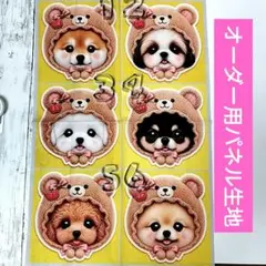 着ぐるみ♡猫ちゃん オーダー受付ページ - メルカリ