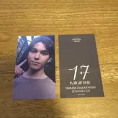 seventeen バーノン　ヤンマー　会場限定