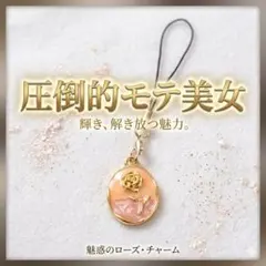 祈祷済】市杵島姫の金運・財運御守 ルチルさざれボトル 仕事運引き寄せ 