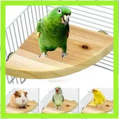 Item thumbnail for item be219659-273d-48d9-95f7-ea46204b3c01