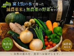 富士山育ちの減農薬米と無農薬野菜セットのサムネイル