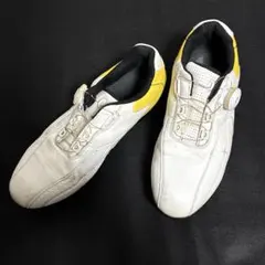 Item thumbnail for item b36d93c4-dbab-44bc-a902-862a47d2ed77