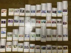 【引退】ポケモンカードゲーム サポートカード194枚セット