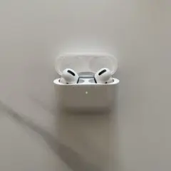 Apple AirPods Pro 第一世代 MWP22J/Aのサムネイル