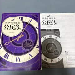 新中学問題集 公民3年 解答と解説付きのサムネイル