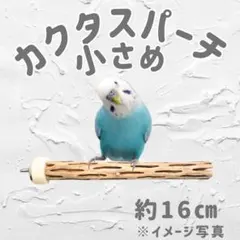 m　止まり木　カクタス　スケルトン　パーチおまとめ3本 2025年最新】カクタスパーチの人気アイテム - メルカリ