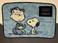 Item thumbnail for item 558602e7-7529-4991-be02-d7ae599d3689