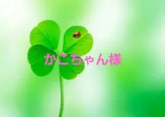 かこちゃん様専用