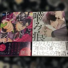 ボーイズラブ漫画2冊セット