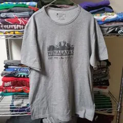 90sLユニセ海外製古着メンズヴィンテージ自然山グレーtシャツUSA直輸入