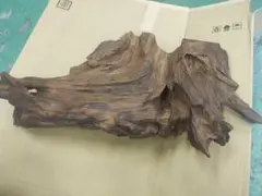 やまき様専用ページ 爬虫類あみぐるみコースター 緑カメ 水色とかげ 2