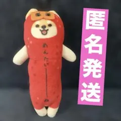 のびしば めんたいーぬ　福岡限定　明太子ぬいぐるみ　マスコット　柴犬