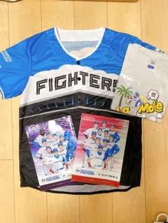 【マロン】日ハムＷＬＨユニ　レイエス選手　Ｍサイズ 未使用・美品 2025年最新】レイエス ユニフォーム 日ハムの人気アイテム