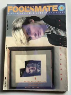 FOOL'S MATE フールズメイト39号1984年11月号