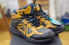 Item thumbnail for item a64c3e94-2912-4d6f-b320-ac0e3382bc4d