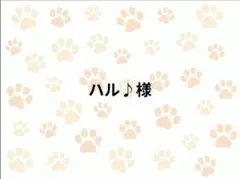 ハル♪様専用ページ