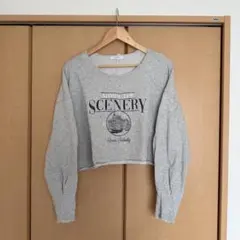 JEANASIS グレー クロップドスウェット