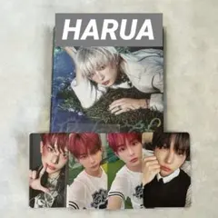 &TEAM BacktoLife ソロジャケ トレカ HARUA