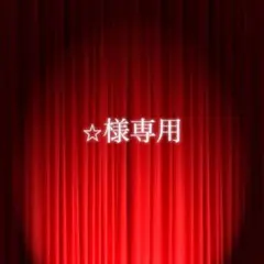 ⭐︎様専用ページ