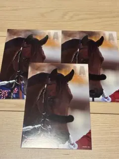 サラブレッドコレクション ポストカード エフフォーリア 3枚