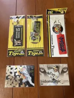 阪神タイガース　中野拓夢 キーホルダー、カードセット