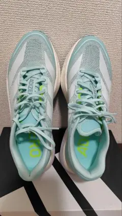 Item thumbnail for item 799e191f-9fde-456e-baad-198a8b78f67f