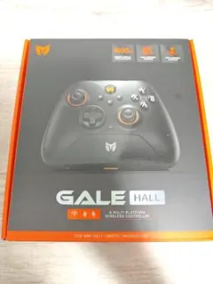 BIG BIG WON GALE HALL