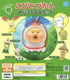 ※kk様専用※ こびとづかん カクレモモジリ