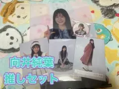 向井純葉　推しセット