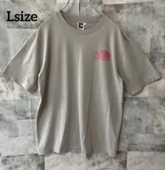 THE NORTH FACE Lsize 半袖Tシャツ 刺繍ロゴ グレー
