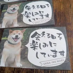 Item thumbnail for item c0f2fa19-3440-498c-bec5-be62d2e14e6f