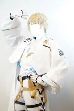 緋八マナヒーロー衣装＋ウィッグ付き