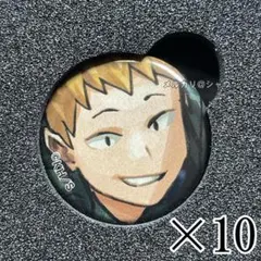 尾白猿夫 僕のヒーローアカデミア ディスプレイ 缶バッジ 10個セット　ヒロアカ