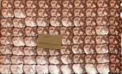 すとぷり 莉犬くん 2022 クリスマス 等身缶バッジ 80個