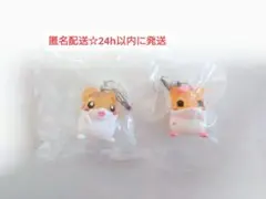 ハムスター倶楽部 めじるしアクセサリー 2点セット