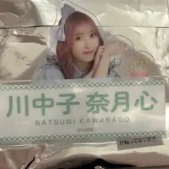 瀬戸環奈1stグッズ チェキファイル セトカン - メルカリ