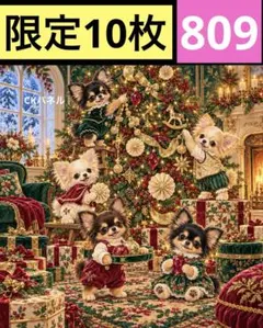 限定10枚！　レアパネル生地　無くなり次第終了です　6犬種パネル