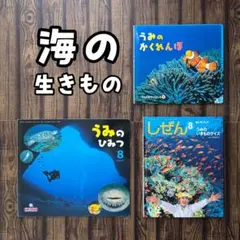 石と宝石 かがくのとも キンダーブックしぜん ワンダーしぜんランド