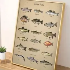 アートポスター　インテリア雑貨　小物　リビング　玄関　トイレ　川魚　魚釣り