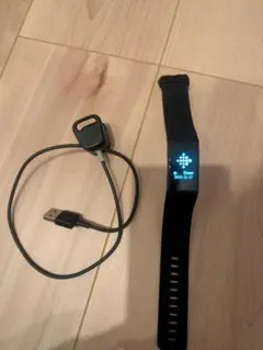 fitbit本体
