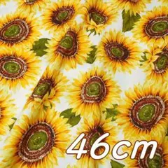 半端＊幅110×46cm●布 夏のおおきなヒマワリ 向日葵 綿 ホワイト 白