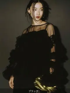 decorative tulle tops チュールトップス フリル付き