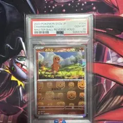 連番ヒトカゲ リザード マスターボール PSA10 - メルカリ