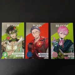 にじさんじ 8th ランダム カード 花畑チャイカ 舞元啓介 皇れお