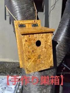 Item thumbnail for item 5513cbcd-7ef8-4df7-bf03-87d605f99a1e