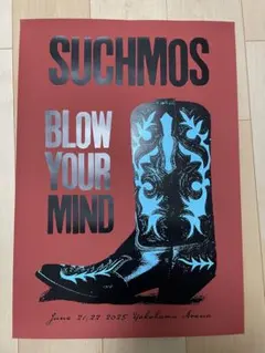 suchmos The Blow Your Mind 2025 ポスター - メルカリ