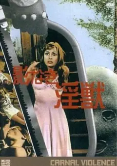 希少 Carnal Violence 影なき陰獣 DVDのみ